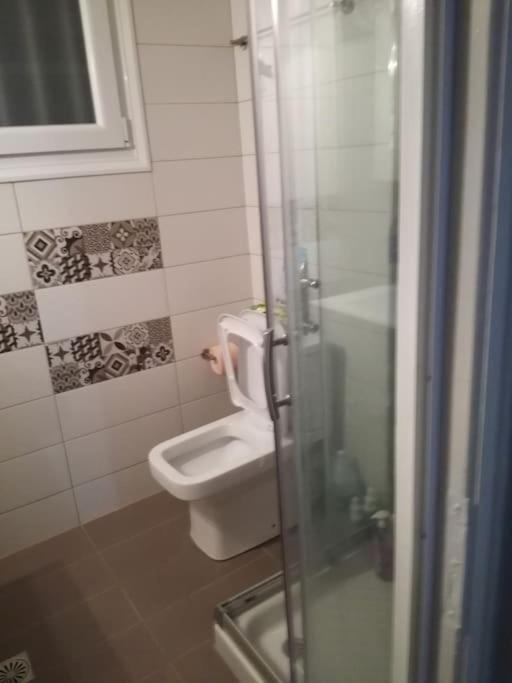 Οικία Με Αυλή Και Πάρκινγκ, Μέσα Στο Κάστρο Της Πόλης Villa Янина Екстериор снимка